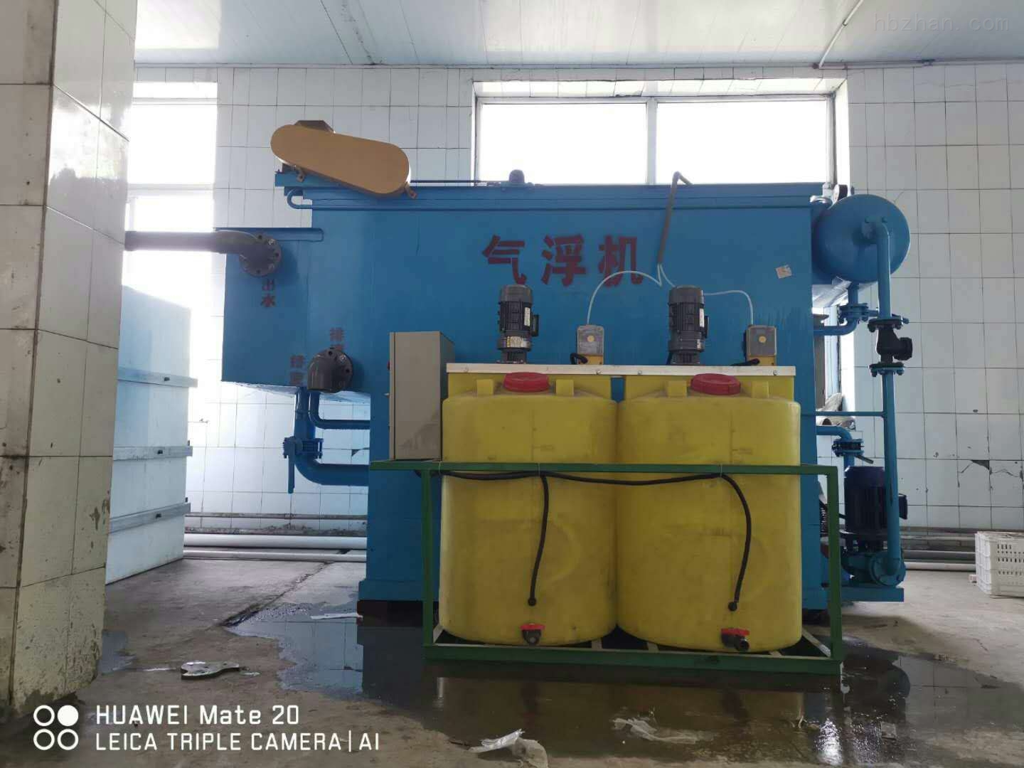 YW8826龙物视频，永不失联的精彩世界-第2张图片