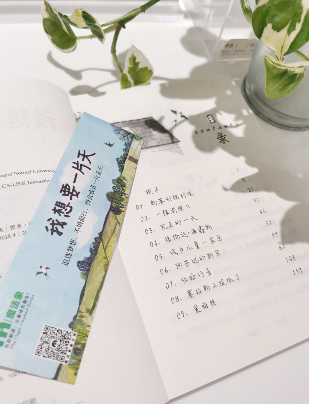 天天小说阅读网天天小说阅读网，探索文学的无限魅力-第1张图片