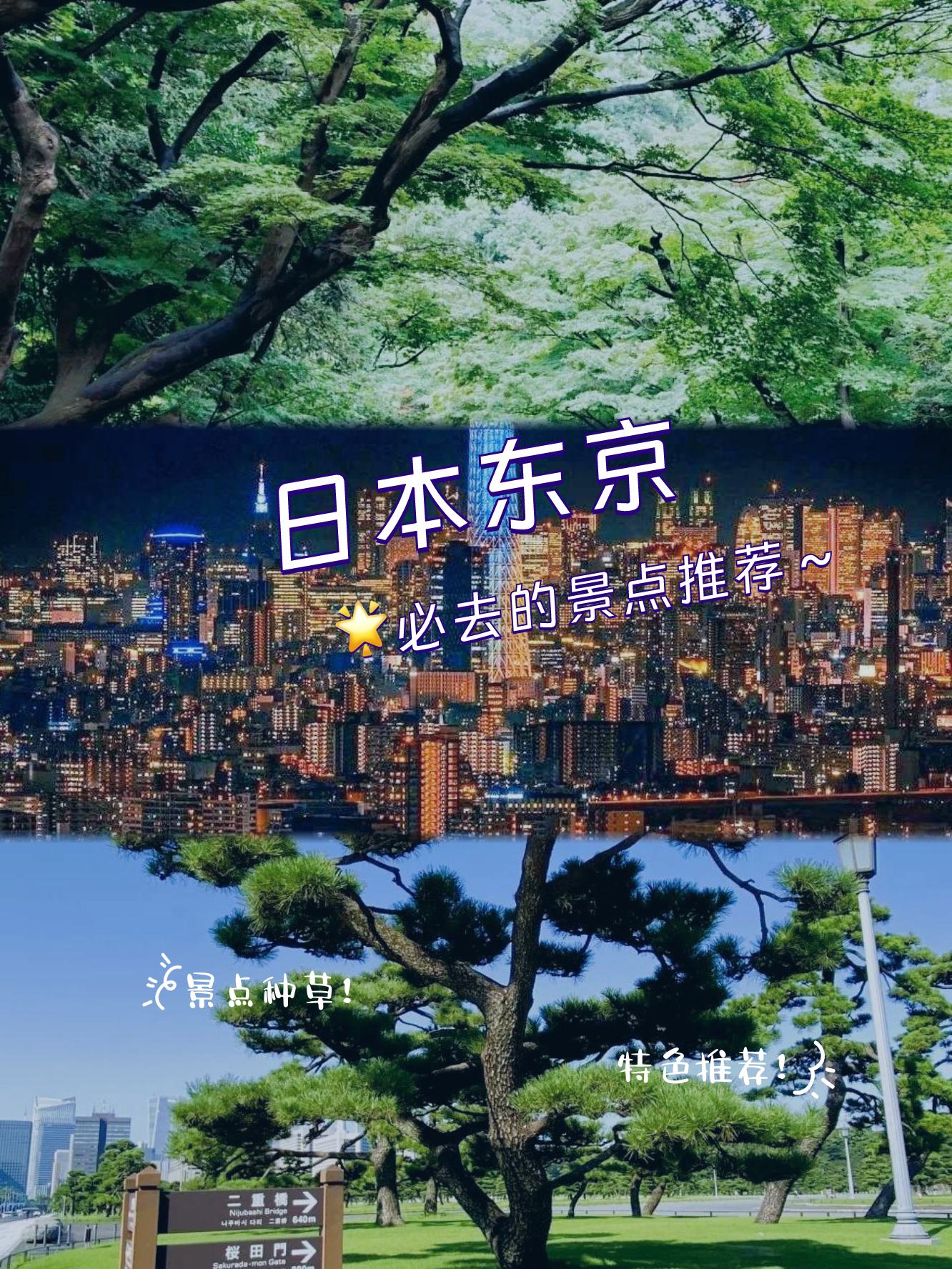 japanese与japanhd1819探索日本文化中的日本与JAPANHD1819的独特魅力-第1张图片