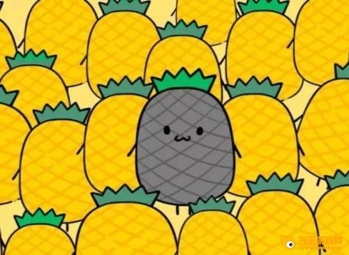 菠萝蜜app最新免费观看，探索无限精彩视频世界-第1张图片