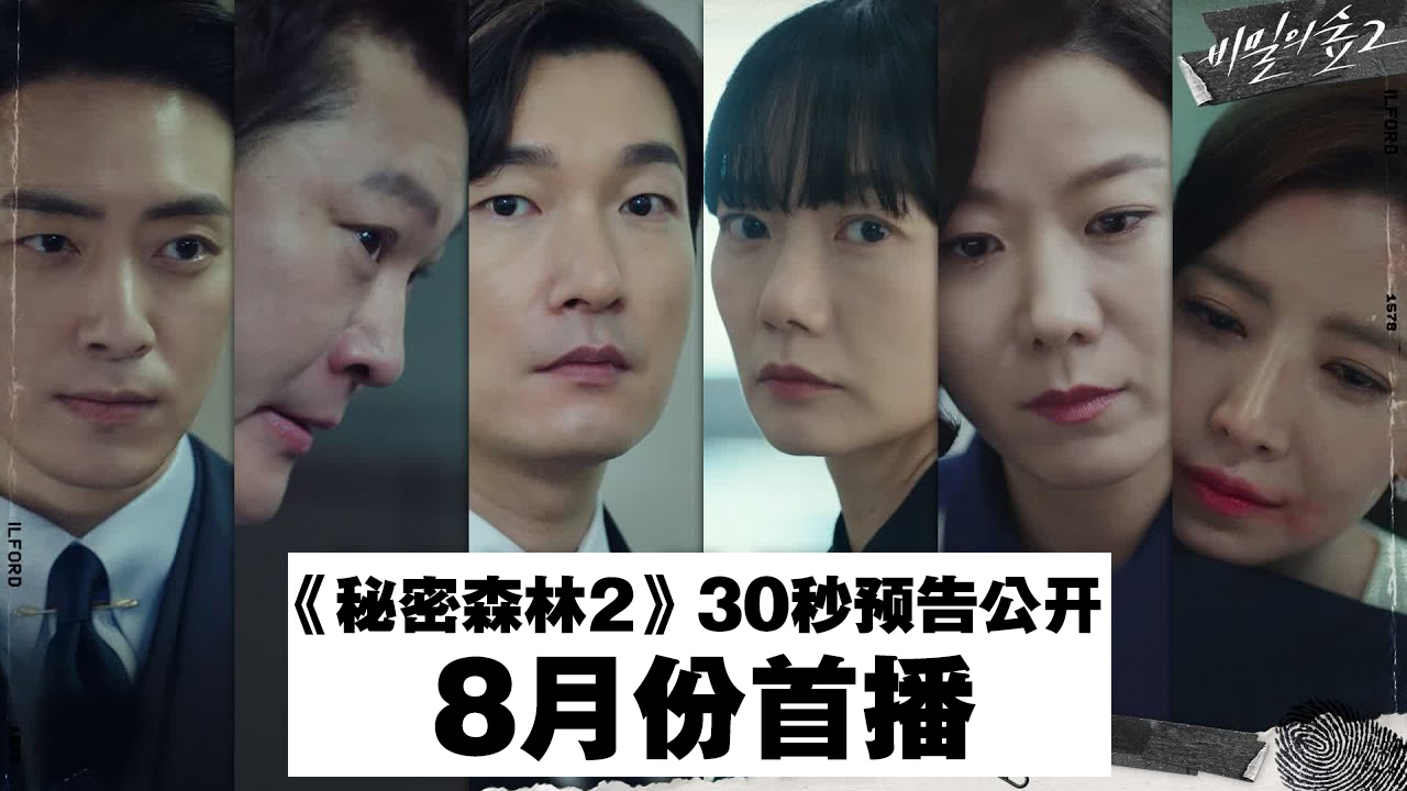 秘密森林2，揭开真相的脚步-第1张图片