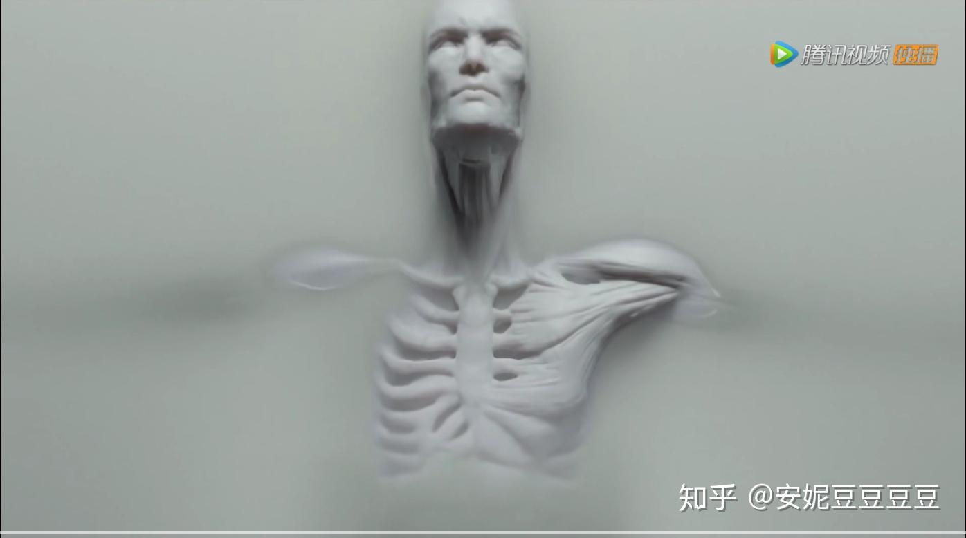 三季片头在线观看免费关于三.级.片的探讨-第2张图片