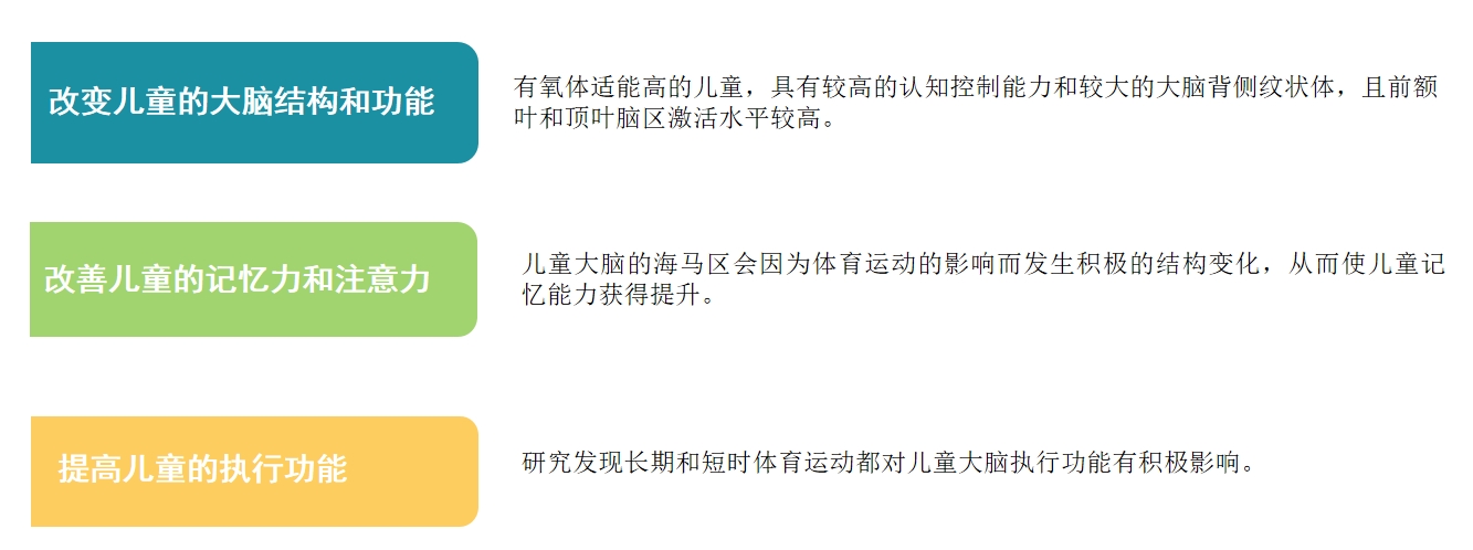 五男一女的多人运动小说五男一女的多人运动，探索团队运动中的协作与乐趣-第1张图片