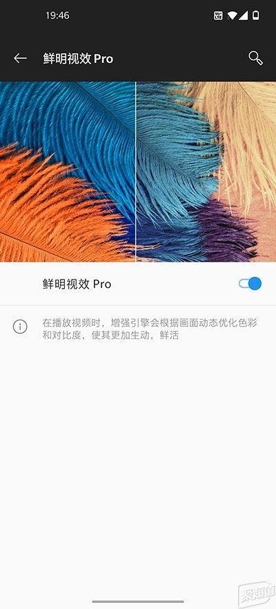 探索感官的边界，深度体验的魅力与在线视频的探讨-第2张图片