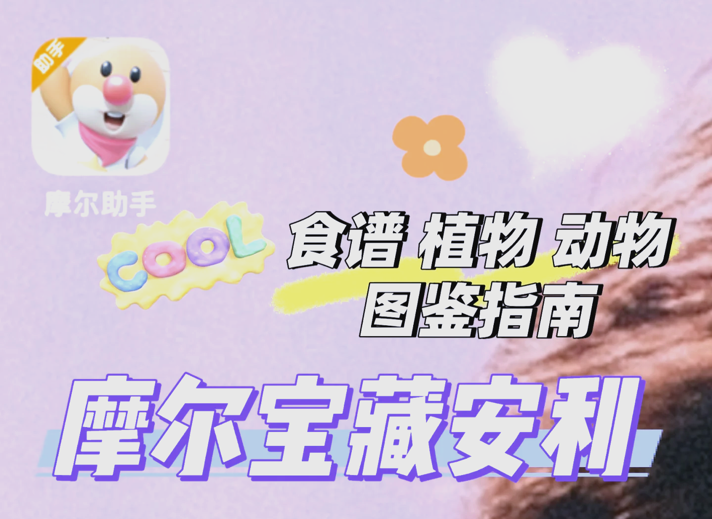 摩尔庄园带鱼在哪钓几点摩尔庄园的海洋宝藏，带鱼的故事-第1张图片