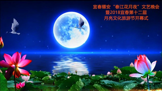 月夜直播，免费下载与美好夜晚的邂逅-第1张图片