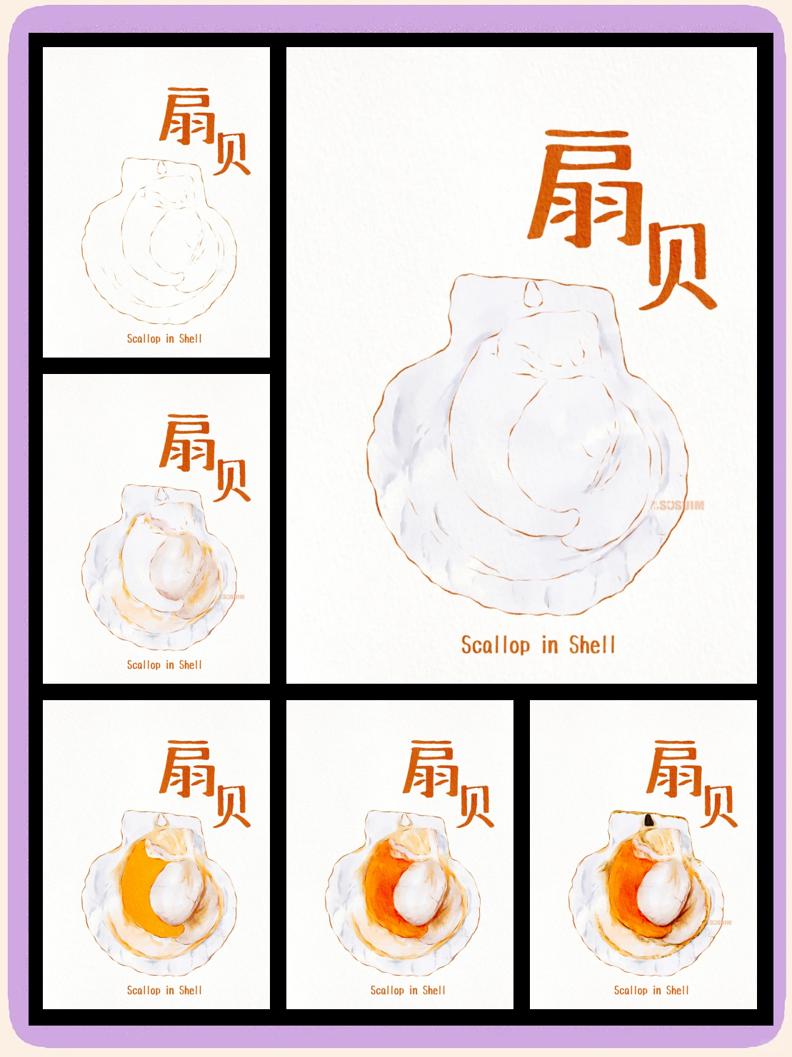 宝宝扇贝柱解析宝宝的扇贝真会夹哦的深层含义-第1张图片