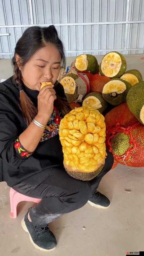 菠萝蜜视频app网站在哪儿菠萝蜜视频网页版入口的正确使用与探索-第1张图片