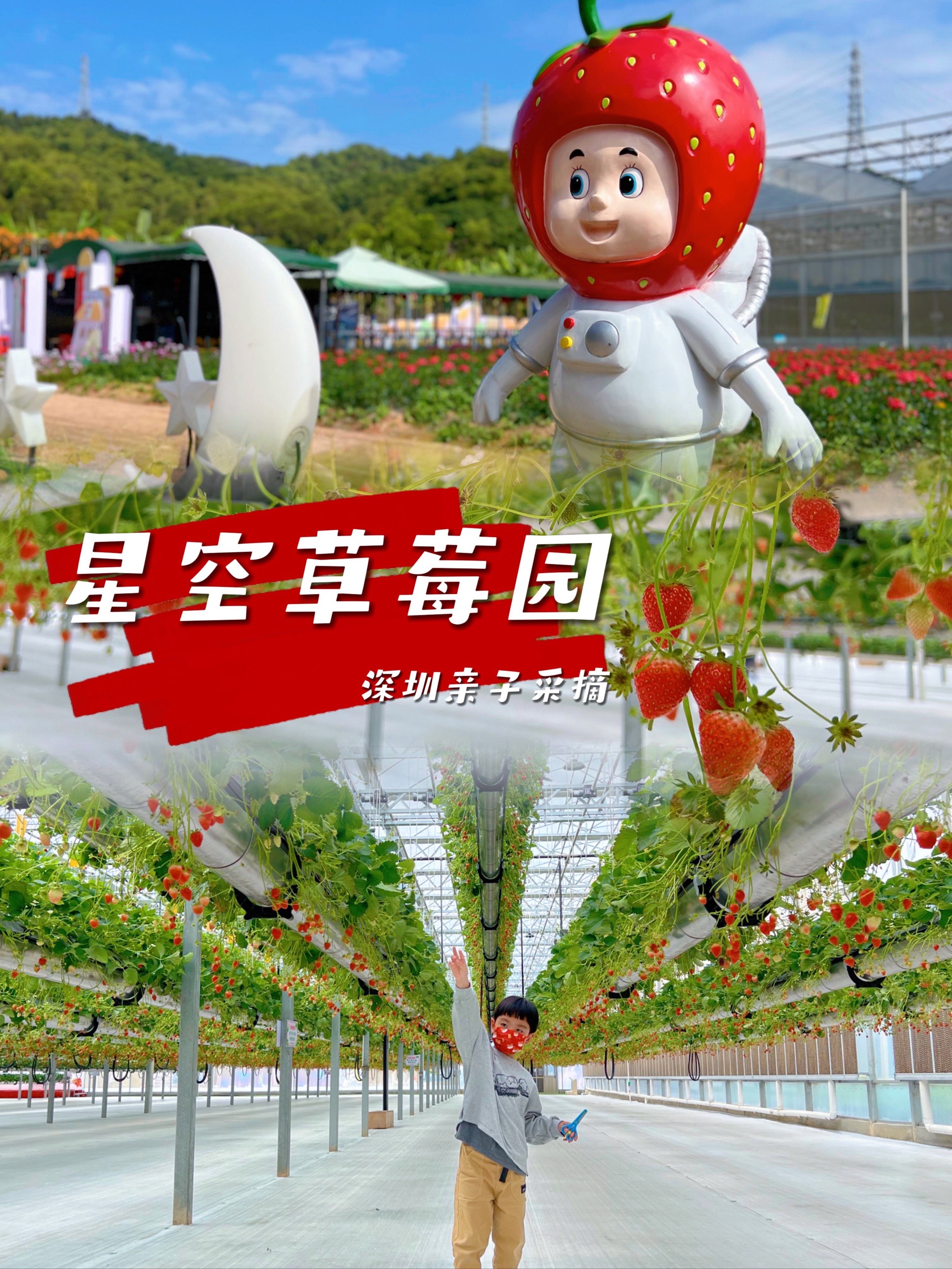 草莓黑科技无限破解下载草莓黑科技，无限破解下载的探索与解析-第1张图片