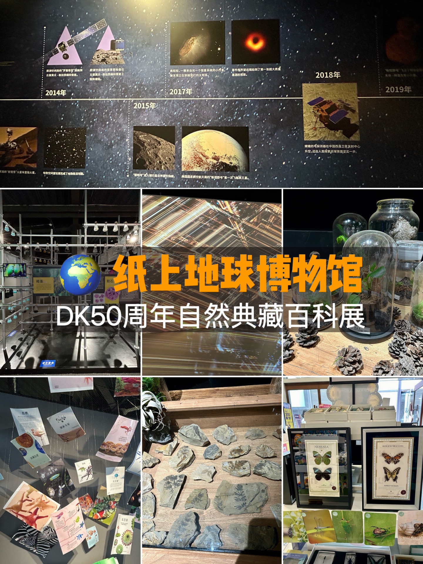 道具典藏馆活动，传承与创新的完美结合-第1张图片