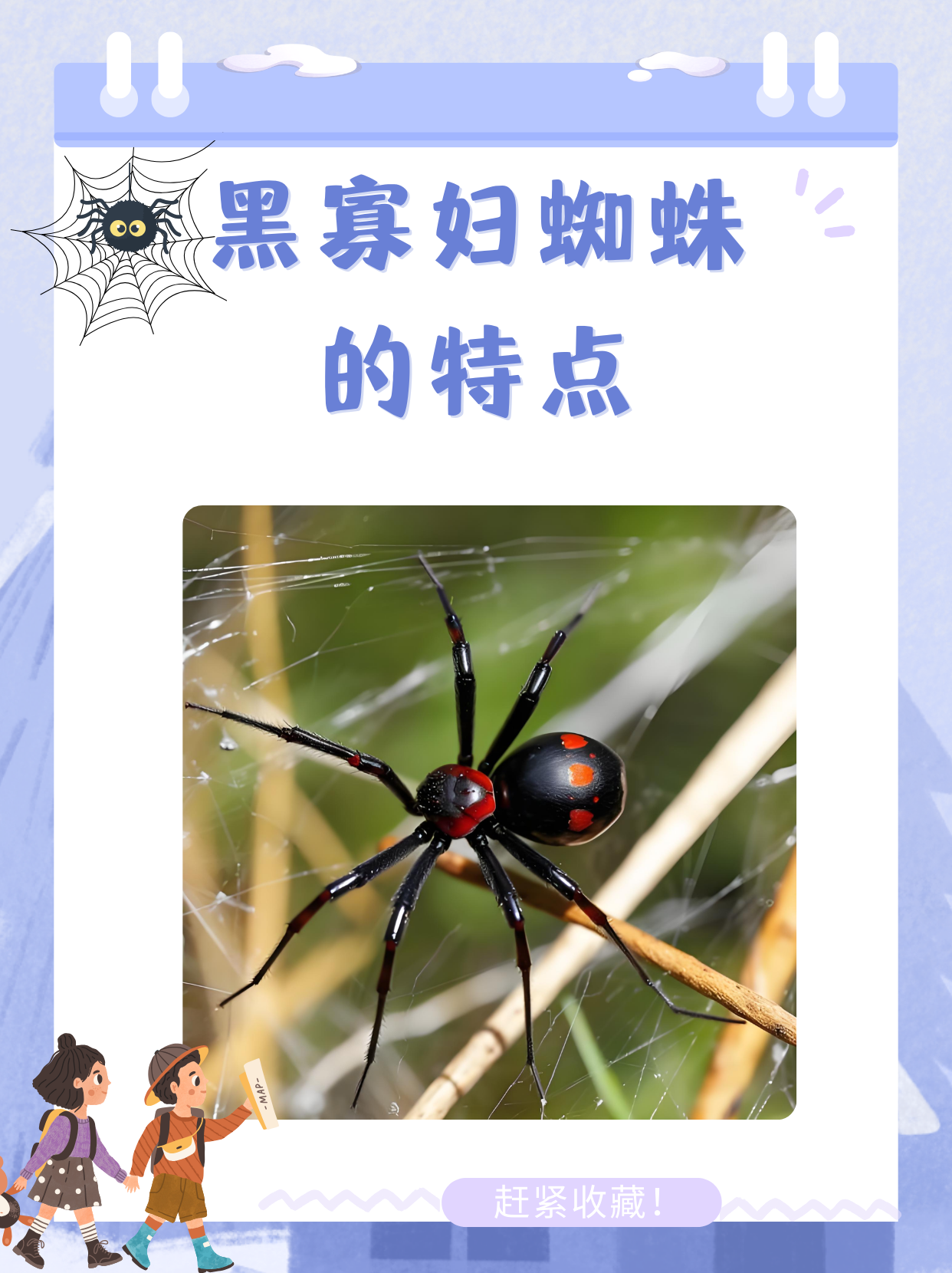 欧美FREE性黑寡妇欧美文化下的自由探索，黑寡妇的多元解读-第3张图片