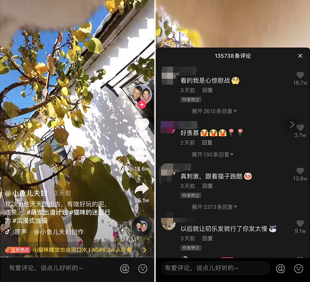 快短猫短视频3秒跳转探索Xiaomi 82.c与快猫的科技魅力-第1张图片