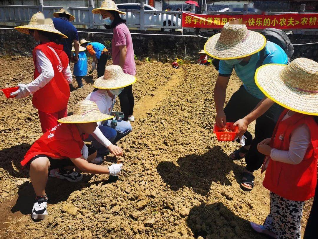 农夫最新导航，引领农业新时代的智慧之选-第2张图片