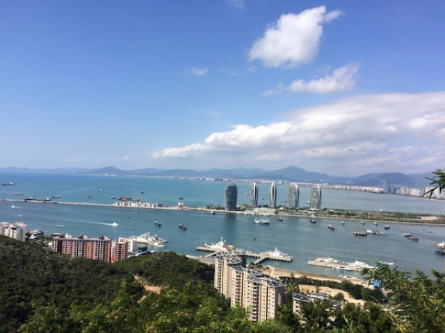 大菠萝福建APP的魅力之旅-第1张图片
