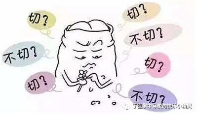 性宝福芭乐向日葵鸭脖小猪下载探索多彩世界，性宝福芭乐、向日葵鸭脖与小猪下载的奇妙之旅-第1张图片