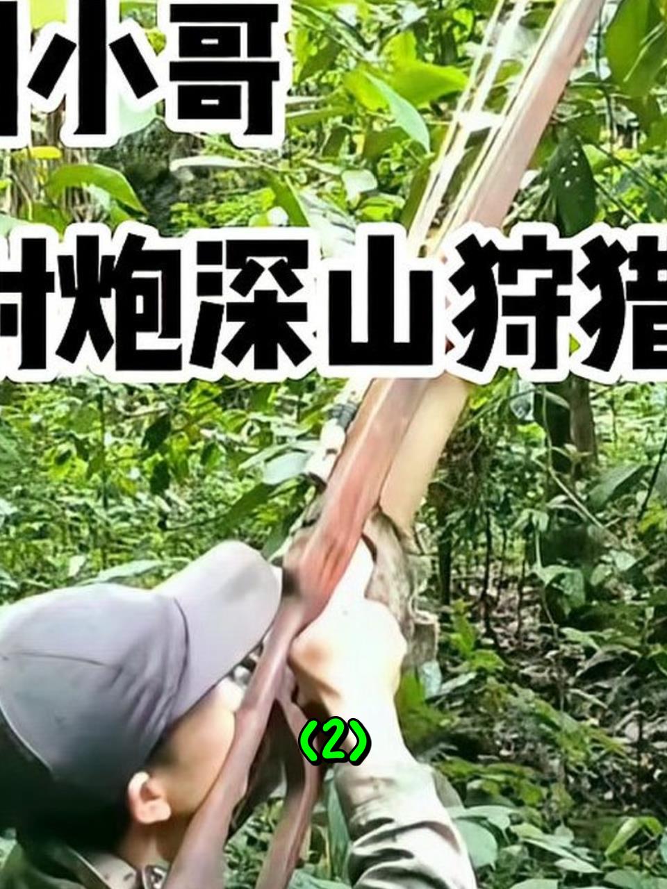 狩猎工具的演变与作用-第1张图片
