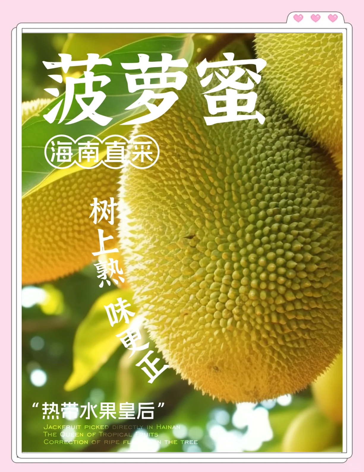 香蕉菠萝蜜视频在线入口TV探索香蕉菠萝蜜视频在线入口的奇妙之旅-第2张图片
