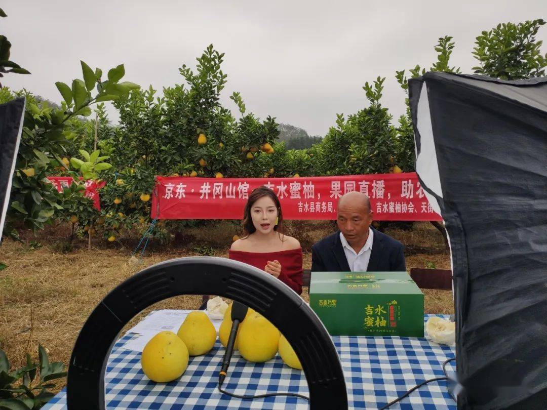 蜜柚直播app软件下载安装蜜柚直播app软件下载指南-第1张图片