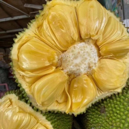 菠萝蜜视频在线菠萝蜜视频观看菠萝蜜视频在线观看指南-第1张图片