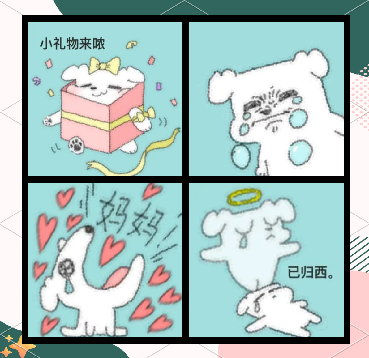 吃胸前的小兔子视频探索未知的奇妙世界——吃老师胸前的小兔子-第3张图片