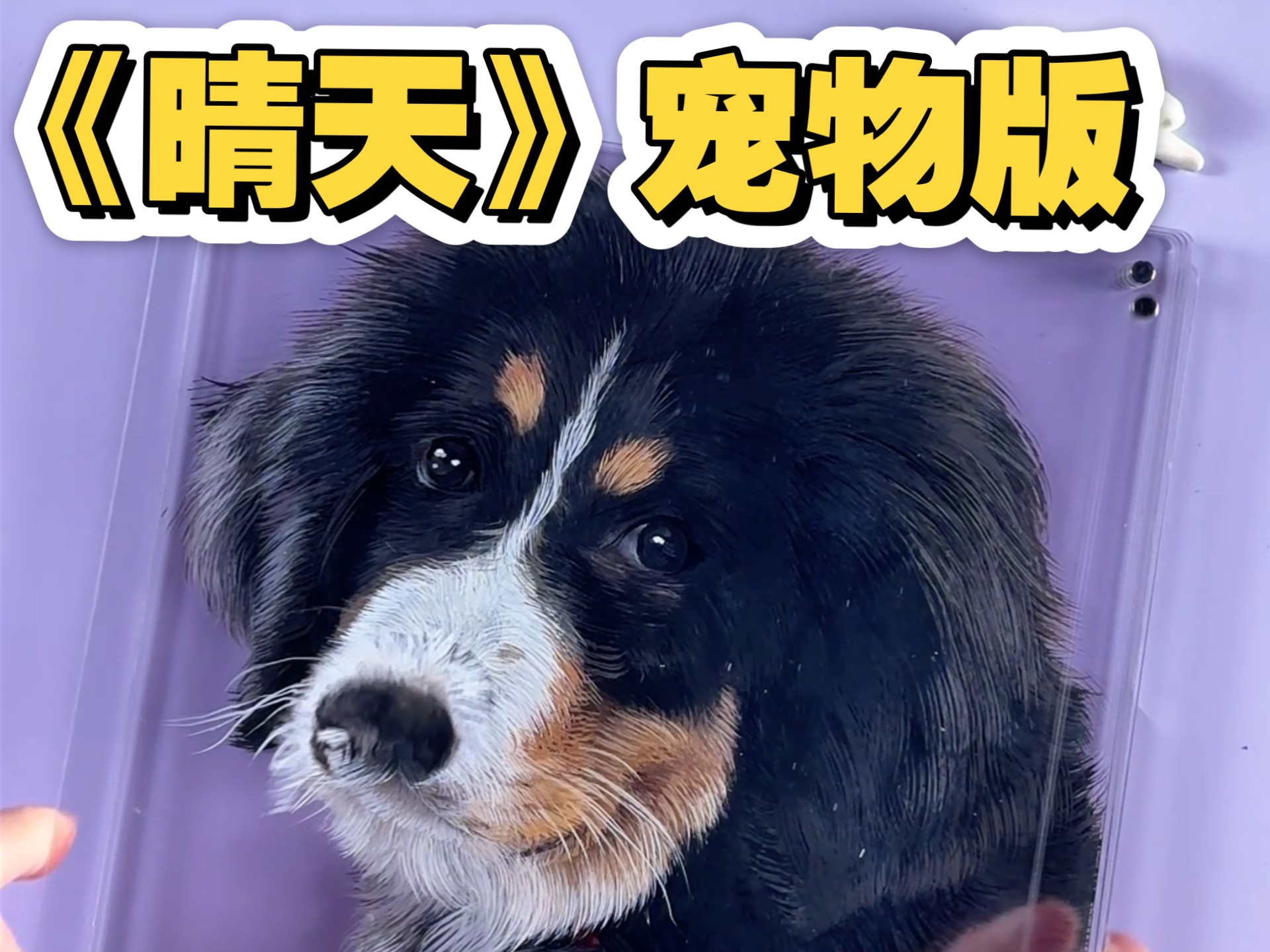 晴天小狗破解版无限骨头金币最新版晴天与小狗的欢乐时光-第2张图片