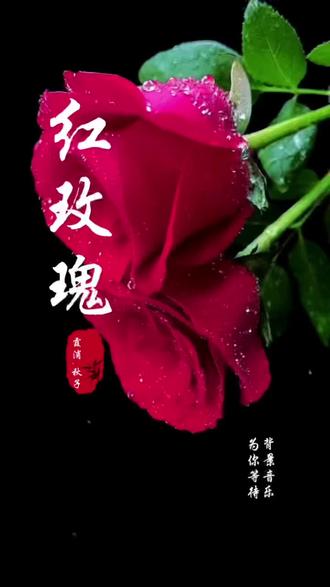 情窦初开含苞待放小说情窦初开，含苞待放的青春岁月-第1张图片