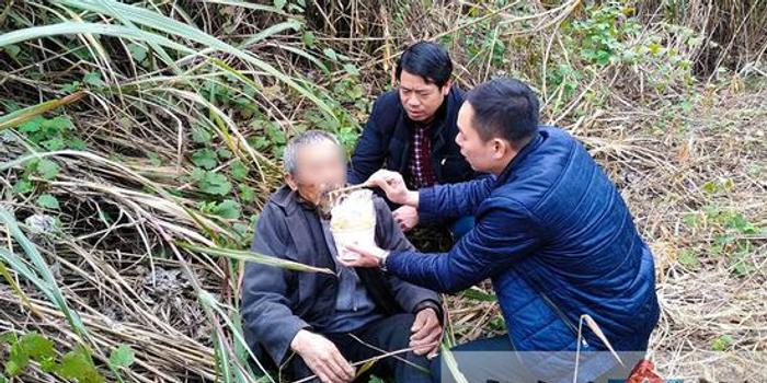 甘蔗地里的翁公翁公与甘蔗地里的故事-第2张图片