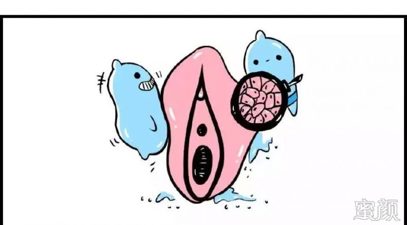 女人两腿扒开图片大全女性私密部位图片的探讨与探讨-第1张图片
