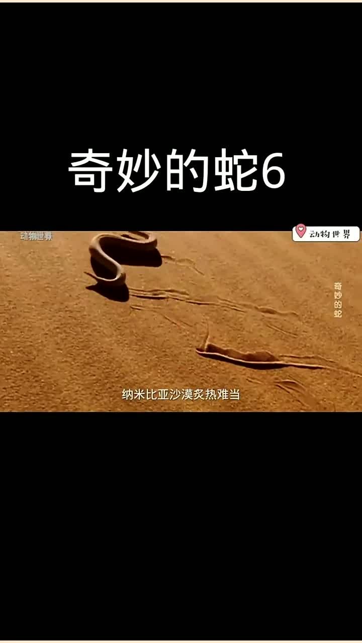 天书奇谈攻略，探索神秘世界的必备指南-第2张图片