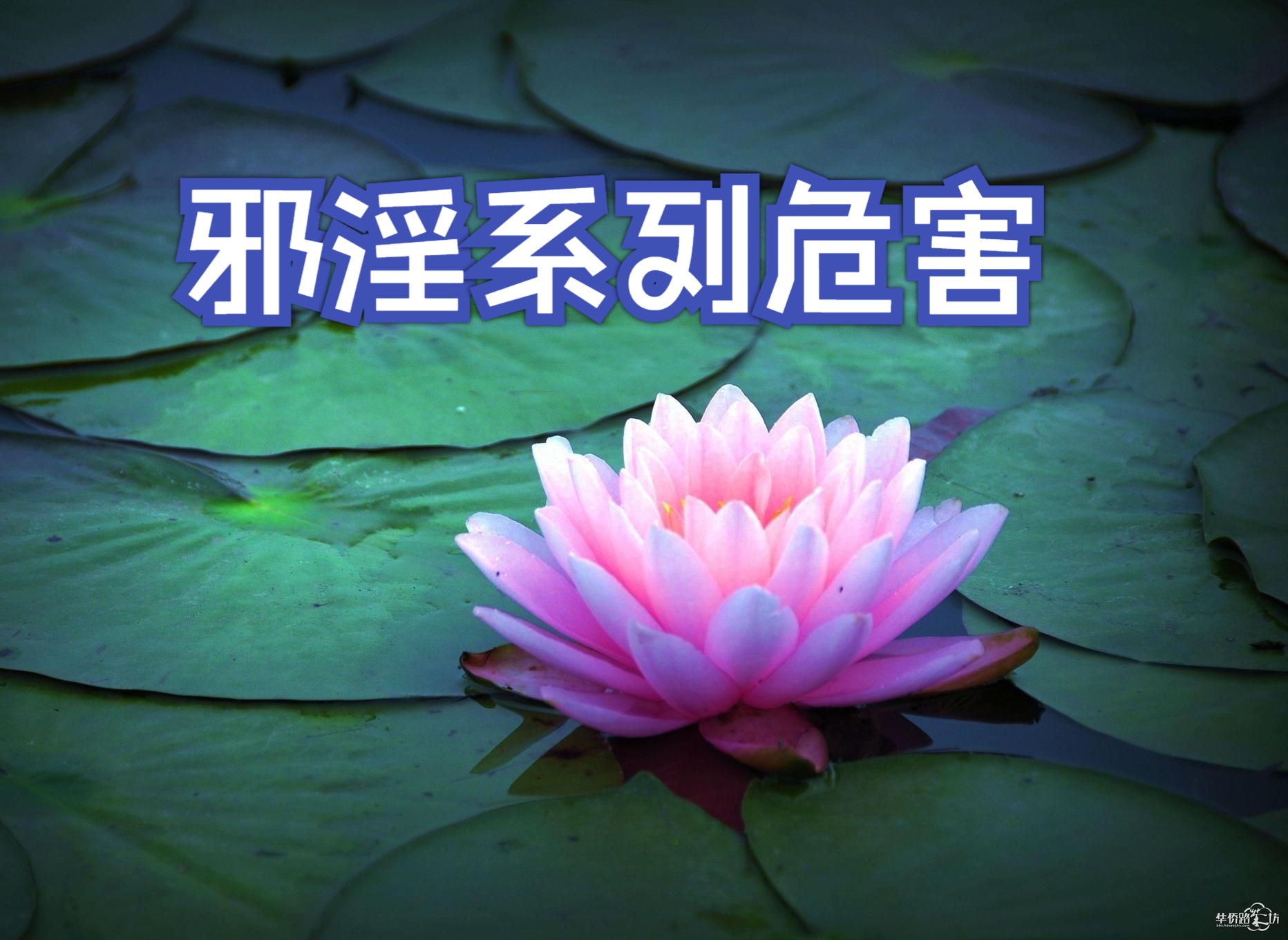 中文字幕日本特黄AA毛片中文字幕日本特黄AA毛片，不健康内容的警示-第2张图片