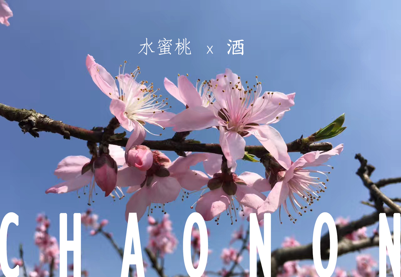 他的水蜜桃by林烟烟免费阅读娇笙惯养与阿司匹林的交织故事-第2张图片
