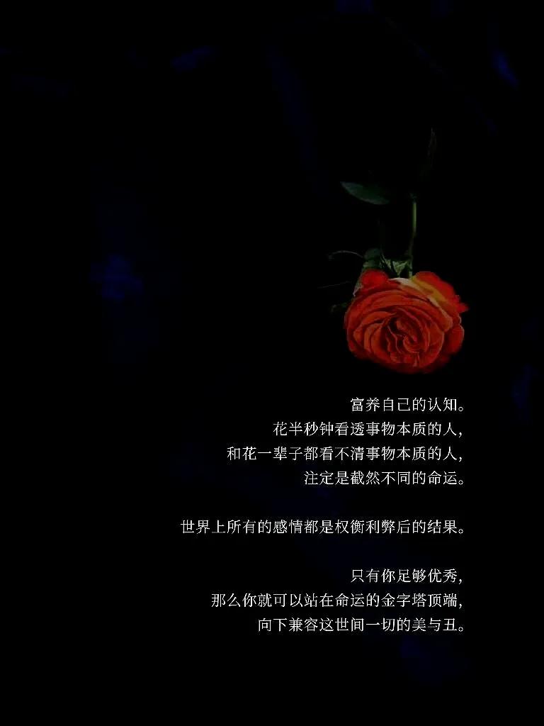 美女任你摆弄美女与自由——探索界限与尊重的平衡-第3张图片