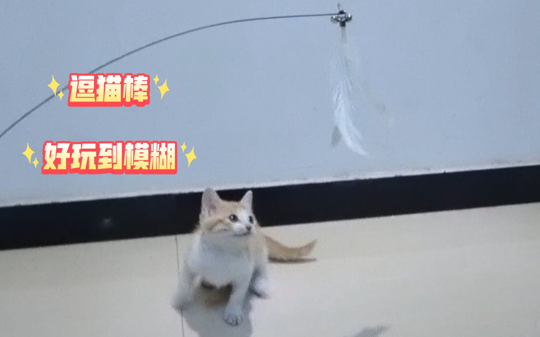 猫新版网页版入口探索猫新版网页版入口——体验不一样的互联网新世界-第2张图片