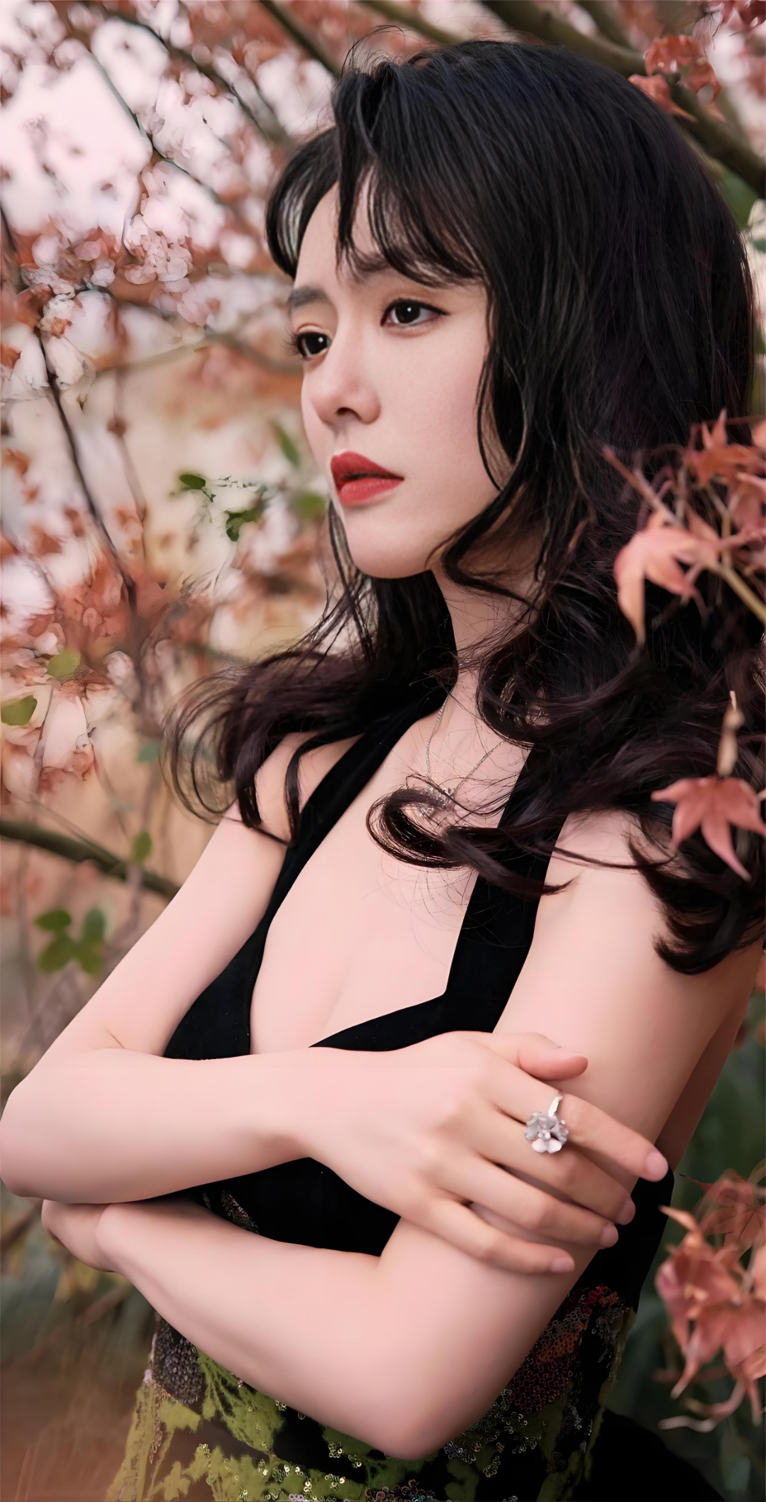 花瓣舞花瓣舞，一场视觉与心灵的盛宴-第1张图片