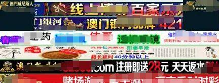 成品网站图片大全成人视品，探索与理解其重要性-第1张图片