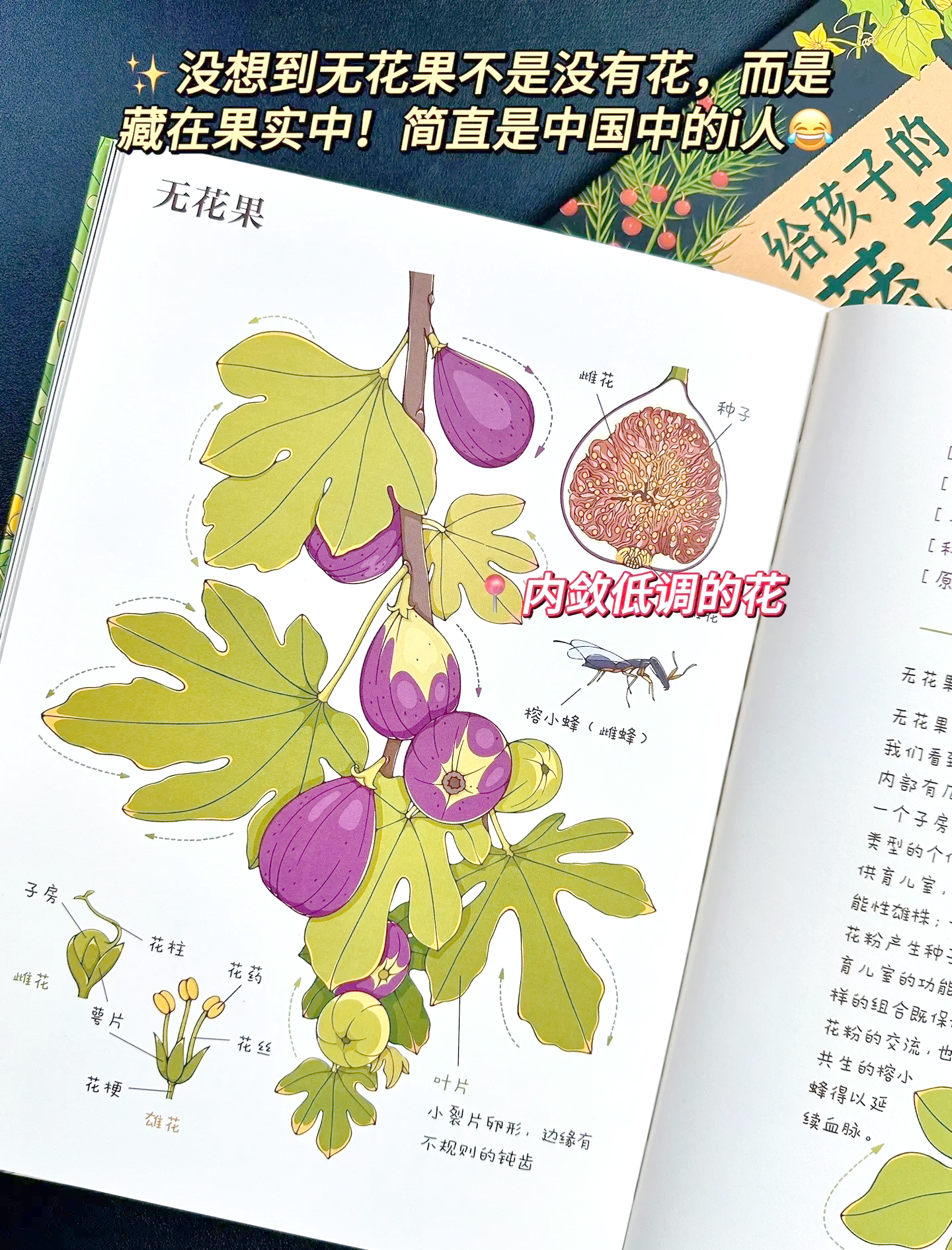 午夜游戏中的水果与蔬菜的奇妙之旅-第2张图片