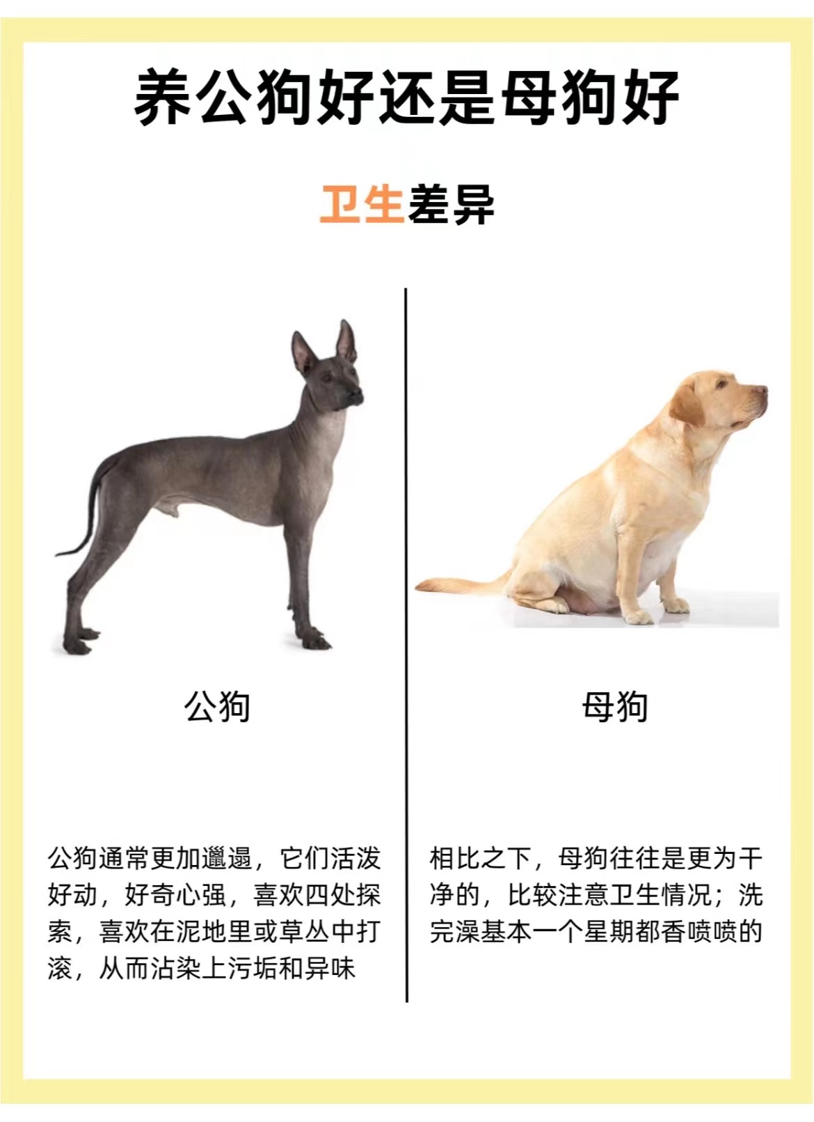母狗能锁到人吗图片母狗能否锁住人？-第1张图片