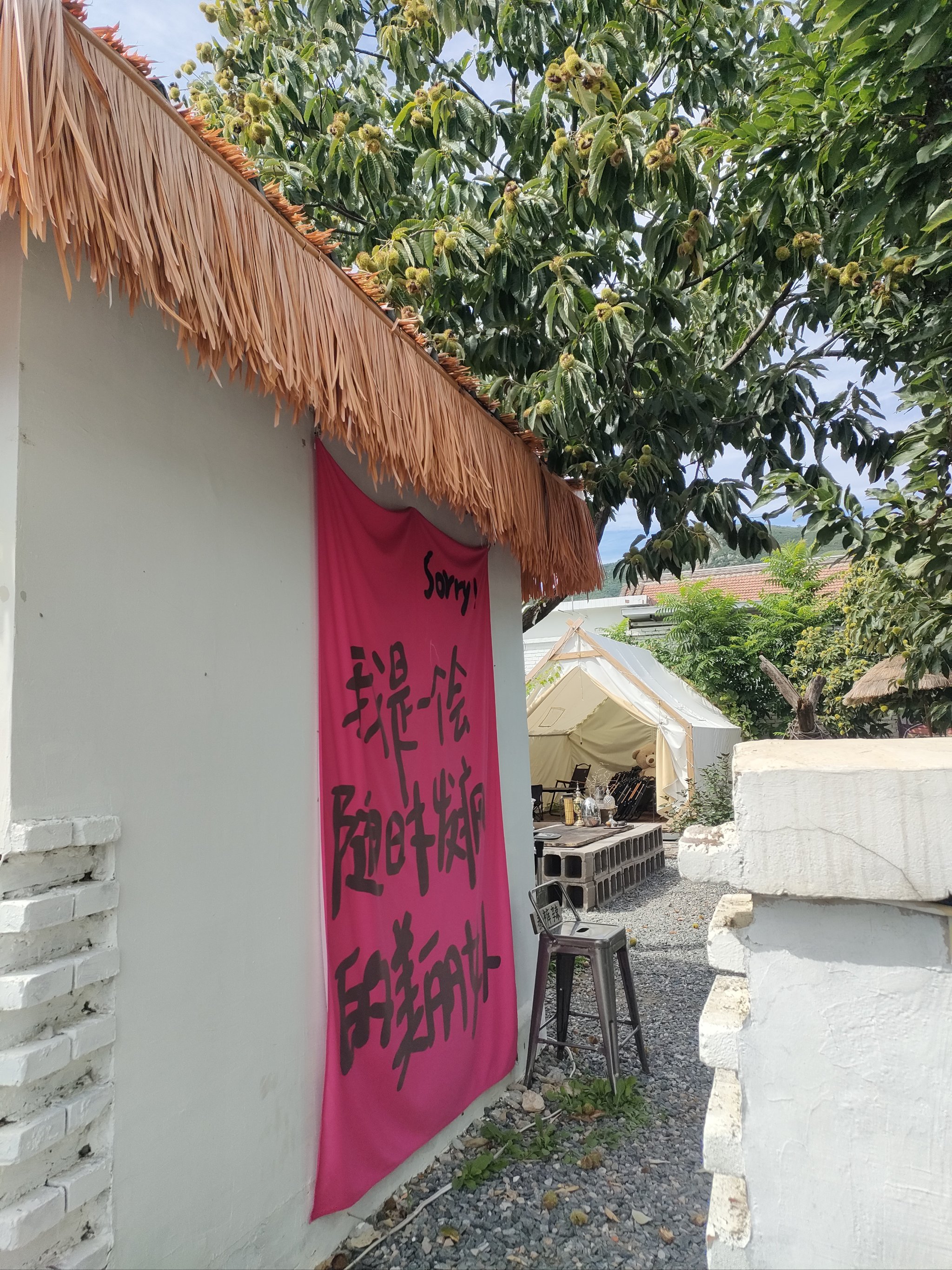 角落社区角落社区，温暖与活力的交汇之地-第1张图片