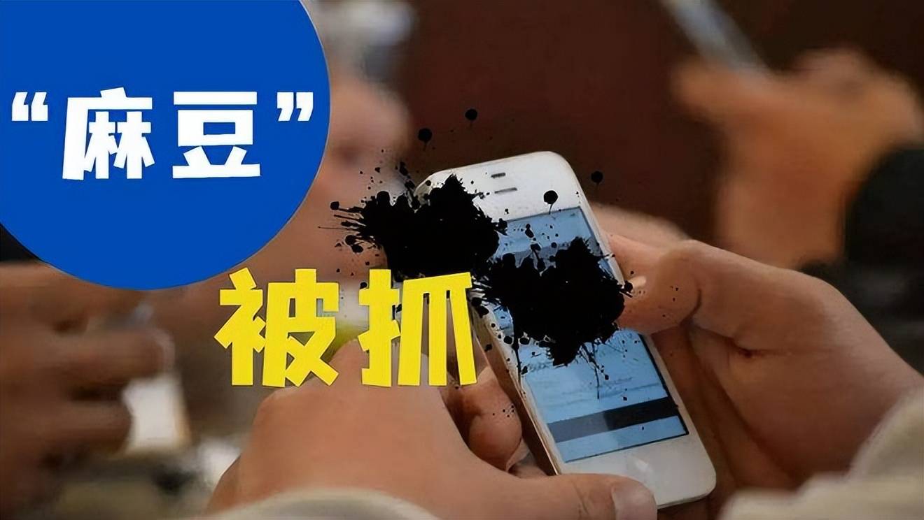 关于麻豆视传媒黄app的全面解析-第1张图片