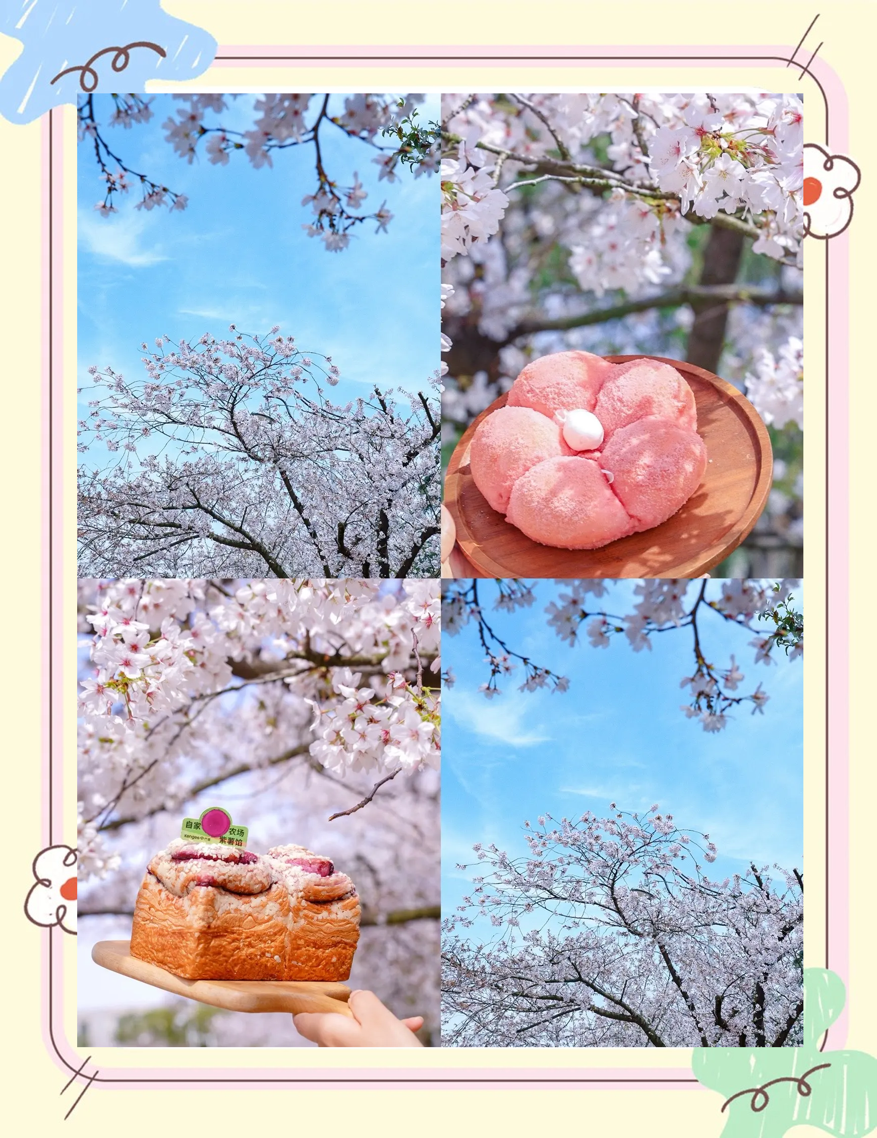 樱花视频，免费观看高清资源的绝佳选择-第2张图片