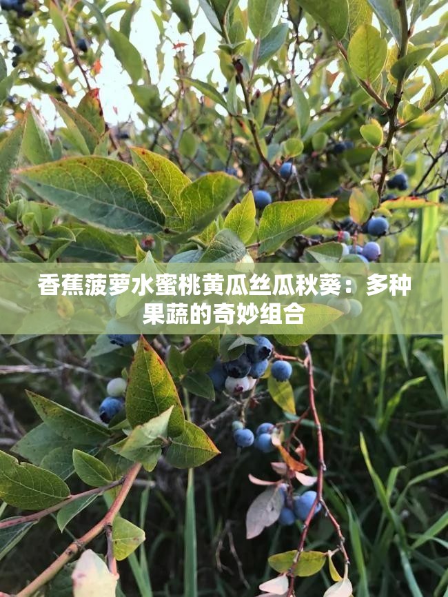 夏日果蔬盛宴，丝瓜、黄瓜、草莓、向日葵、秋葵、榴莲的下载与种植体验-第1张图片