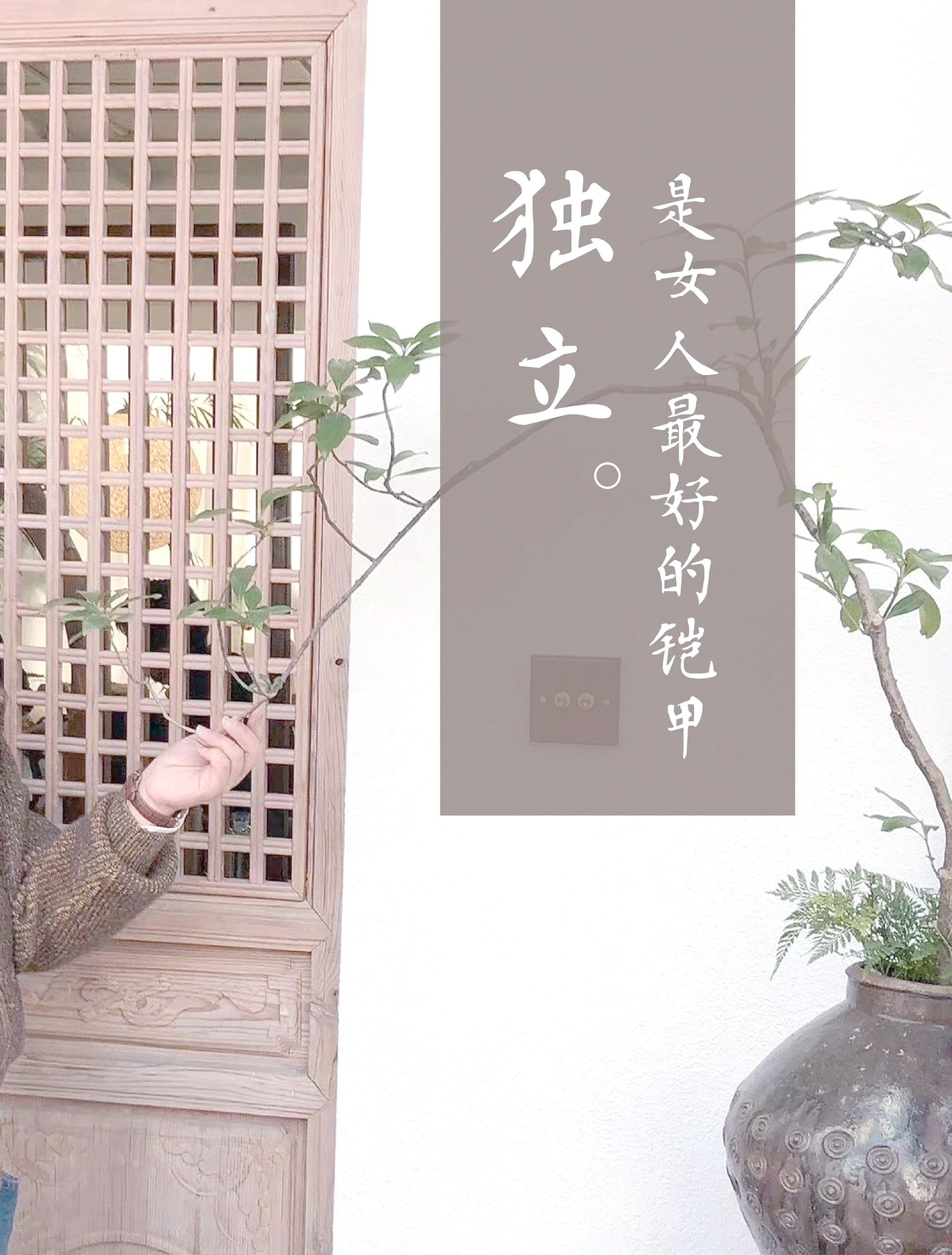 双飞俩中年女人图片双飞之旅，中年女性的独特魅力与共度时光-第1张图片