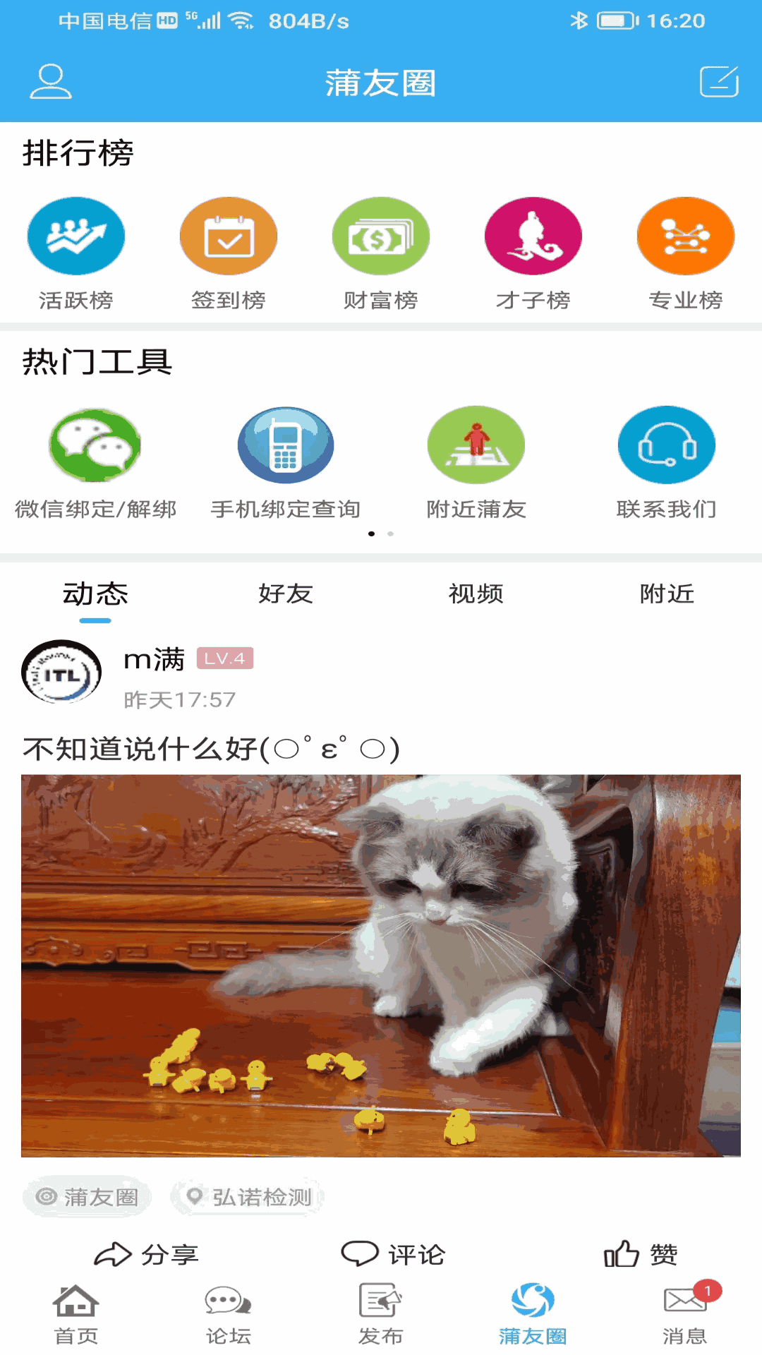 探索丝瓜草莓视频app的魅力世界-第1张图片