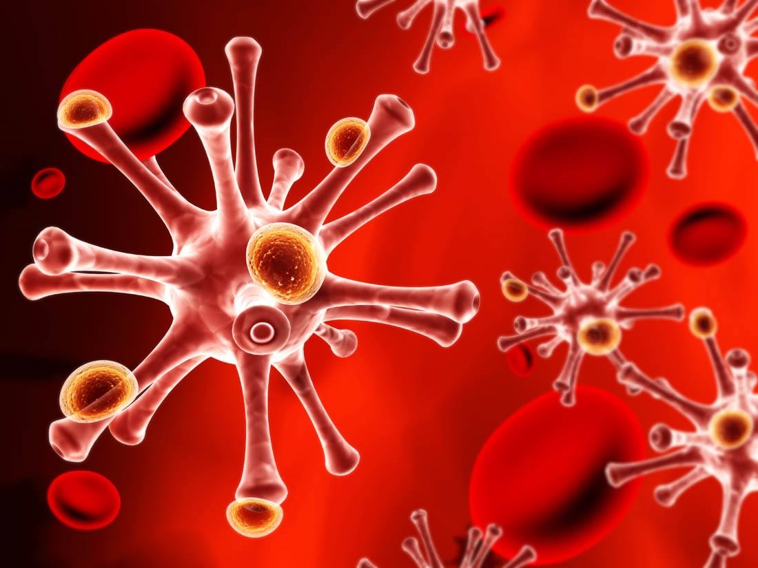 化生加点化生加点，探索生命科学的微妙变化-第1张图片