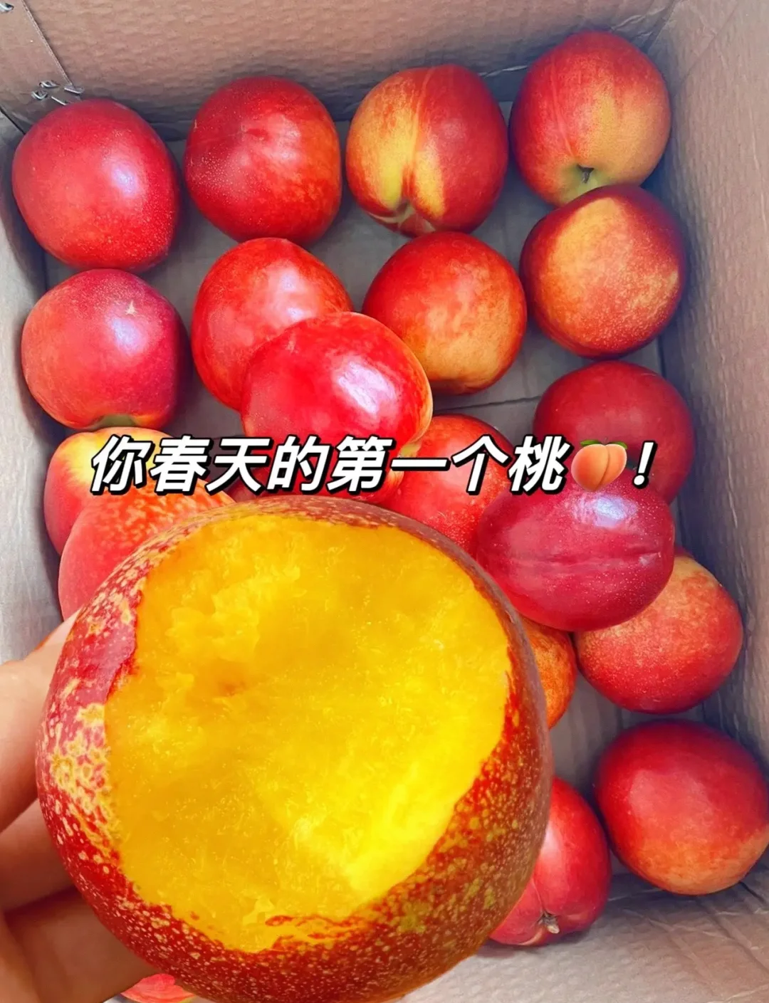 探索9612黄桃网站入口，IOS平台使用指南-第1张图片