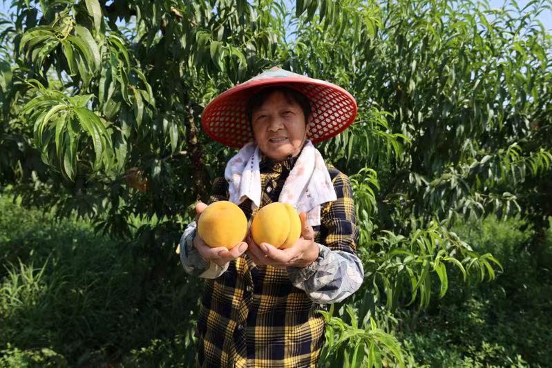 探索9612黄桃网站入口，IOS平台使用指南-第2张图片