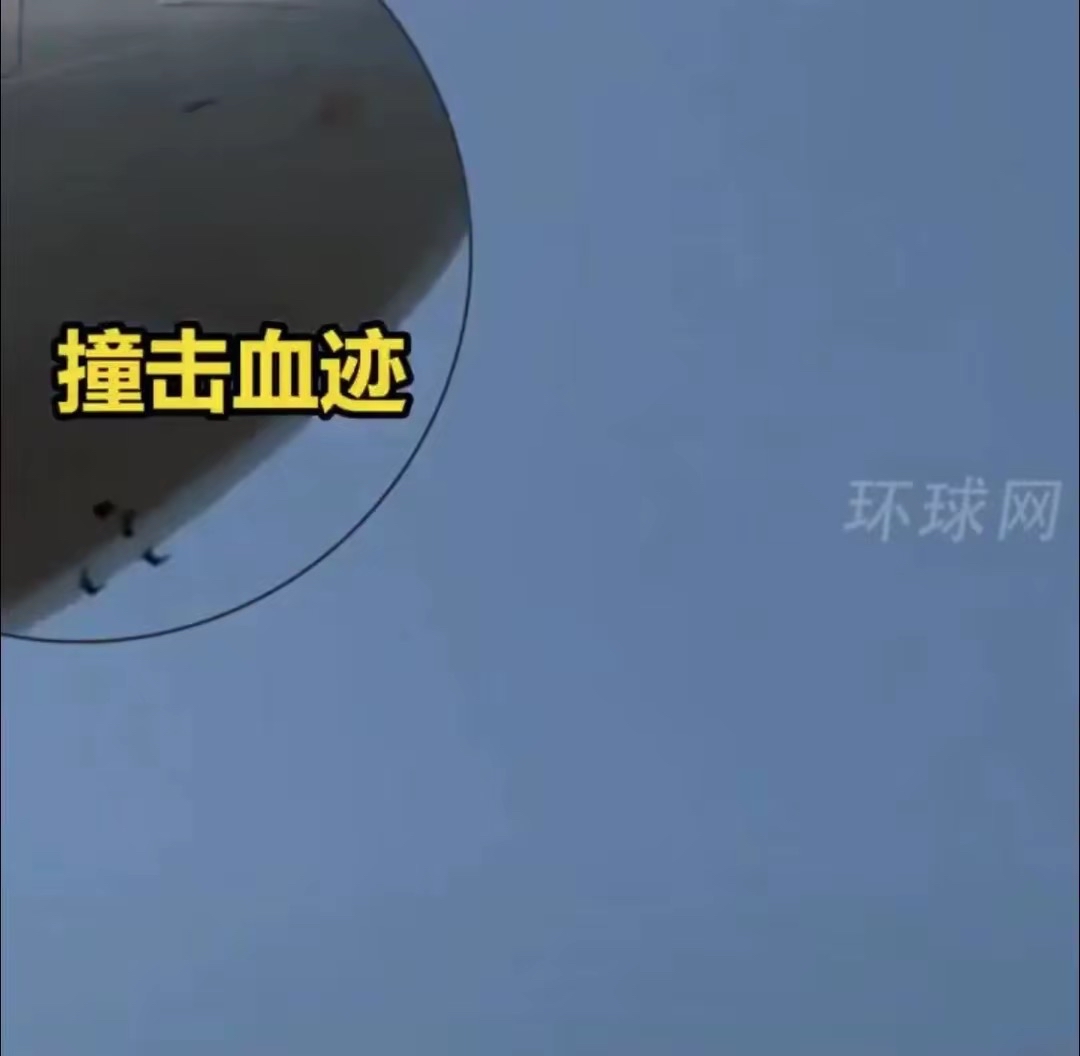 太凶猛了撞烂了狂风骤雨，那场太凶猛的撞击-第3张图片