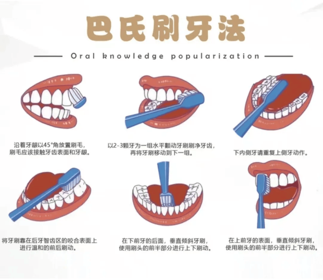 龋齿与蚂蚁庄园，守护口腔健康的小知识-第1张图片