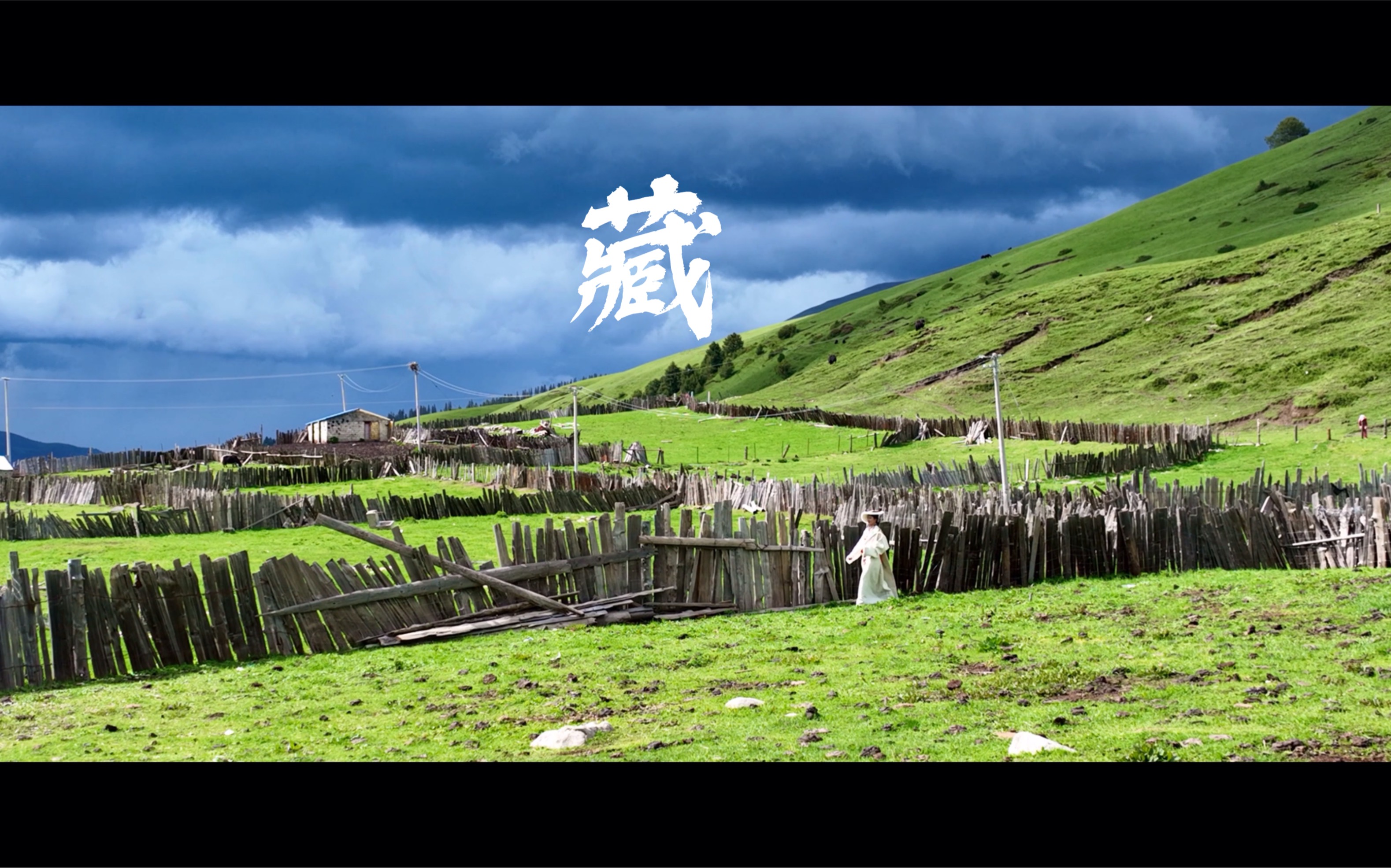 龙裔，神秘的东方血脉-第1张图片