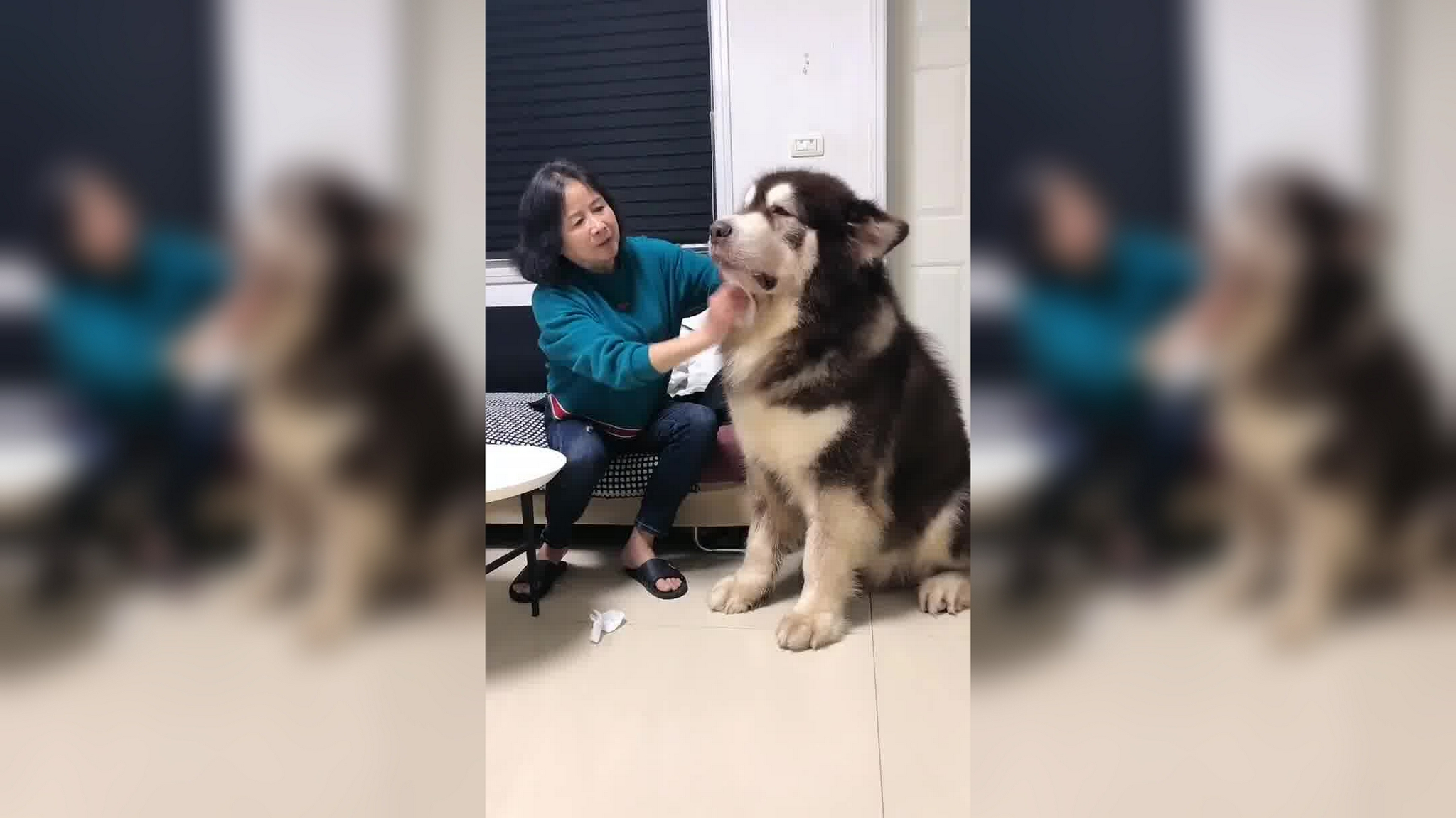 孕妇震BBOX孕妇与BBOX艺术的奇妙融合-第3张图片